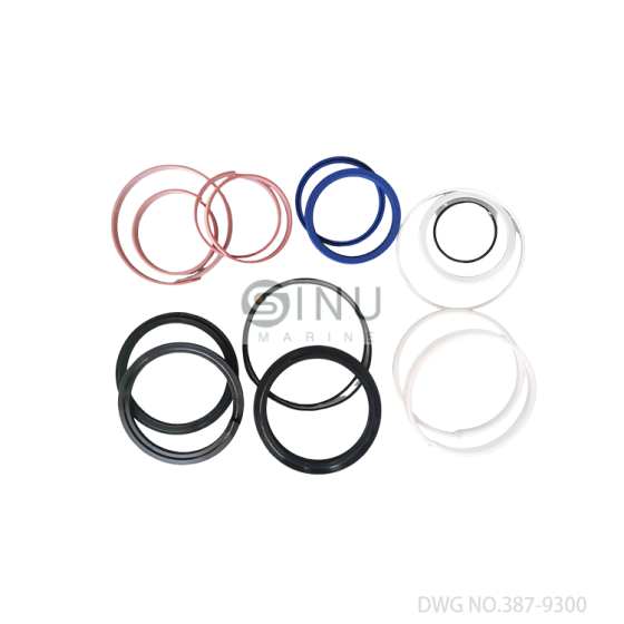Seal kits for TTS hatch cover hydraulic cylinder DWG NO.387-9300