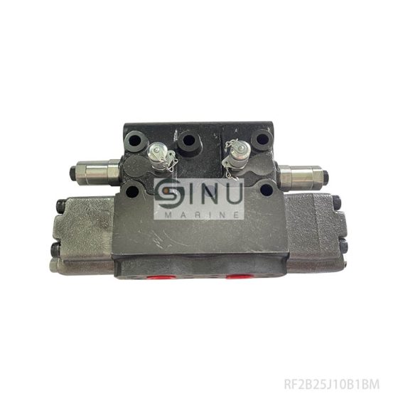 RF2B25J10B1BM-915-0-0L-7Z-0Z DOUBLE COUNTER BALANCE VALVE FOR SLEWING HYD MOTOR