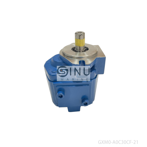 MARINE CRANE GEAR SLEWING MOTOR GXMO-A0C30CF-21