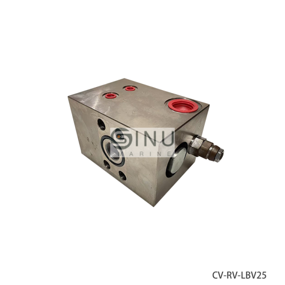 VALVE GROUP FOR COUNTER BALANCE VALVE BLOCK UNIT LBV25 SO1.1/4 3006285