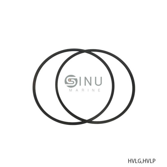 HVLG,HVLP HDYRAULIC VANE MOTOR SEAL RING-SPARE PARTS