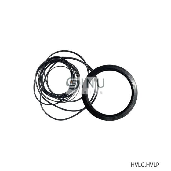 SEAL KIT FOR HVLG,HVLP HDYRAULIC VANE MOTOR SPARE PARTS