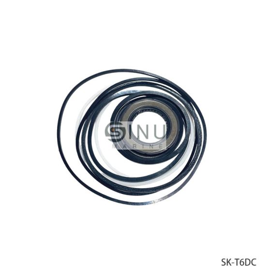 SK-T6DC hydraulic pump seal kits