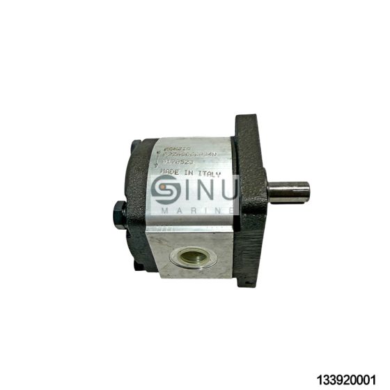 Italian RONZIO 02ZAG06E034D Hydraulic Gear Pump,for Marine Hydraulic Systems Spare Parts