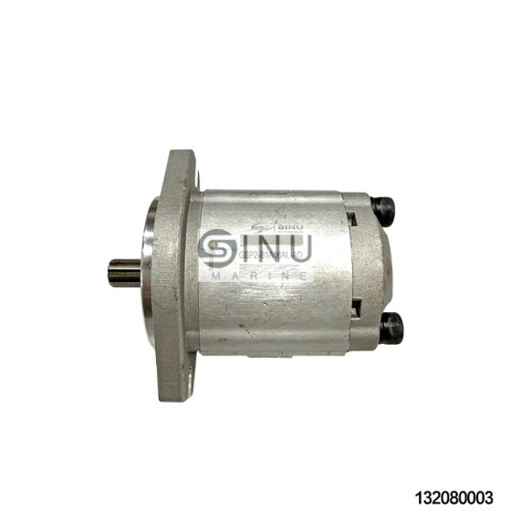 SNM-GSP2-B1A16AL-AO Ship Hydrualic Gear Pump